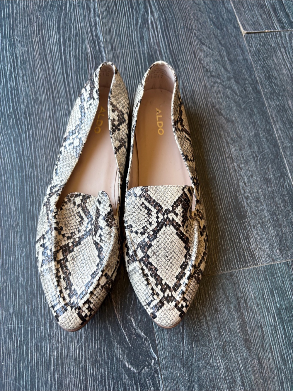 ALDO Women's Snake-Print Pointed Loafers in Beige and Black